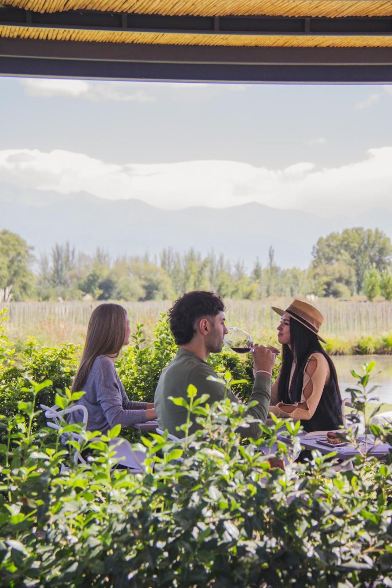 Postales Boutique Winery Hotel - Valle De Uco Colonia Las Rosas ภายนอก รูปภาพ