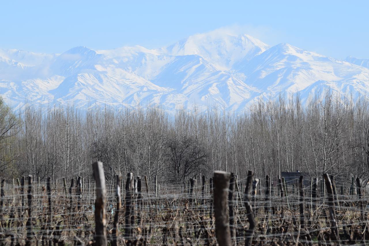 Postales Boutique Winery Hotel - Valle De Uco Colonia Las Rosas ภายนอก รูปภาพ