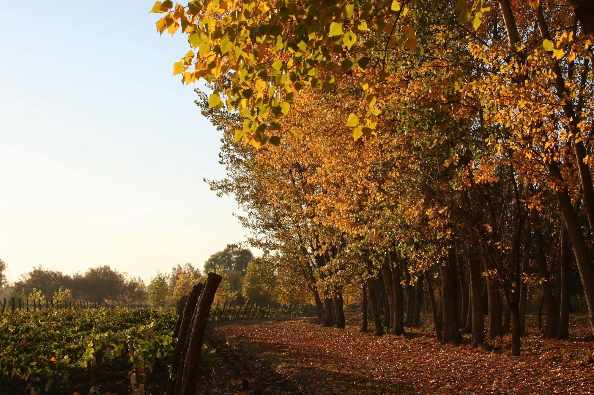 Postales Boutique Winery Hotel - Valle De Uco Colonia Las Rosas ภายนอก รูปภาพ