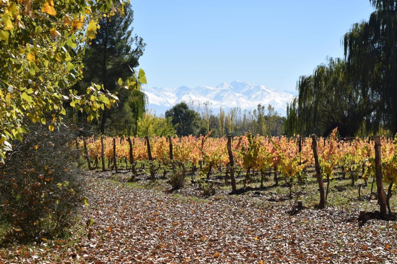 Postales Boutique Winery Hotel - Valle De Uco Colonia Las Rosas ภายนอก รูปภาพ