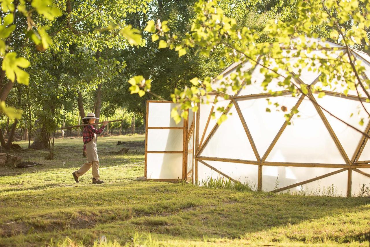 Postales Boutique Winery Hotel - Valle De Uco Colonia Las Rosas ภายนอก รูปภาพ