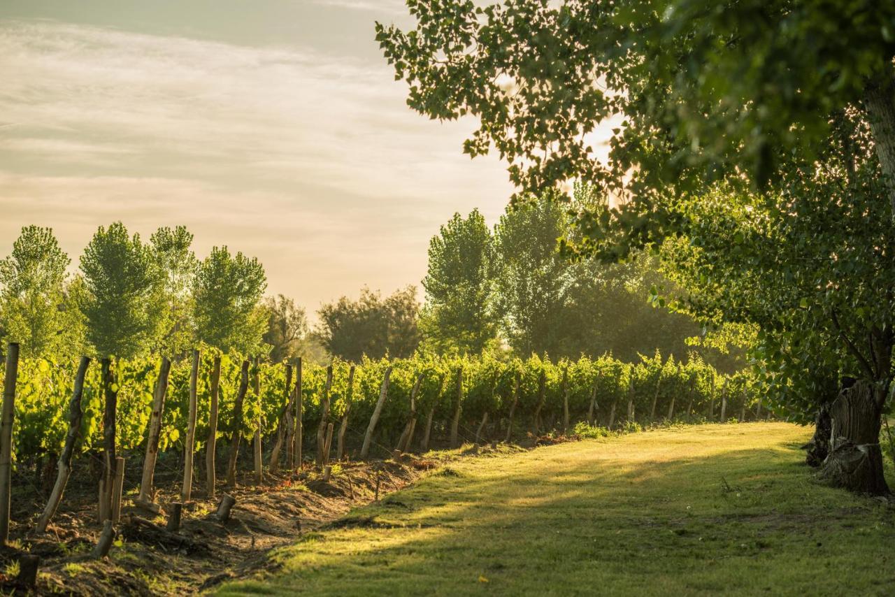 Postales Boutique Winery Hotel - Valle De Uco Colonia Las Rosas ภายนอก รูปภาพ